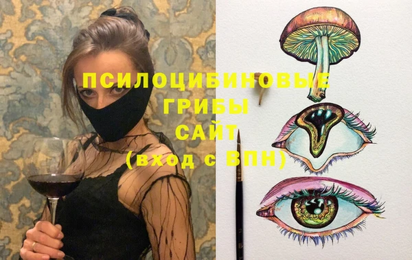 дмт Алексин