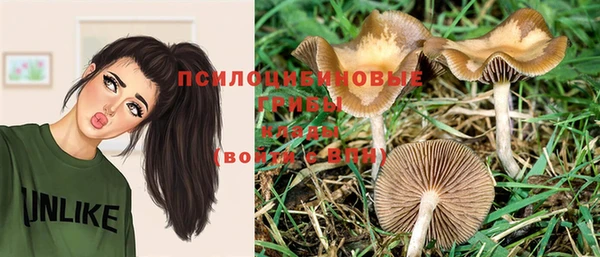 mix Алексеевка