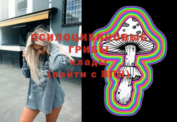 гашик Алзамай