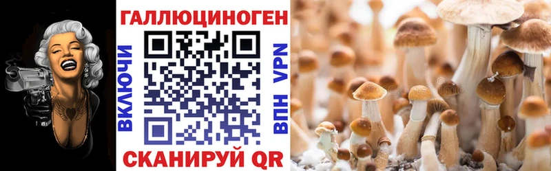 кракен вход  Дзержинск  Галлюциногенные грибы Cubensis 