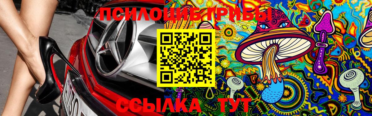 Псилоцибиновые грибы Magic Shrooms Дзержинск